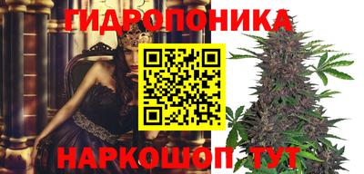сатива Дубна
