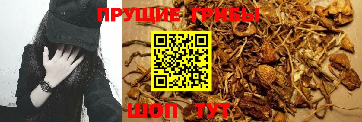 Псилоцибиновые грибы MAGIC MUSHROOMS Магадан