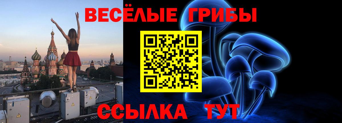 Псилоцибиновые грибы мицелий  Вход с VPN  Магадан 