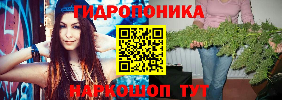 Марихуана Amnesia Магадан